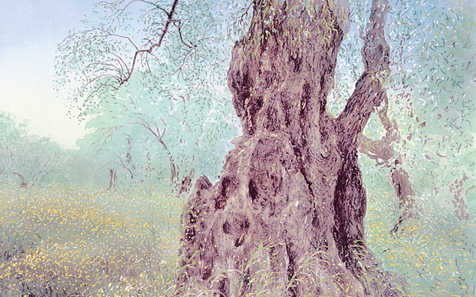 h-ελιά-έχει-την-τιμητική-της-2137464