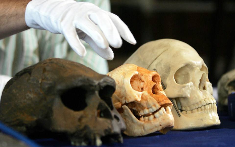 τα-χόμπιτ-αναπτύχθηκαν-ως-ξεχωριστ-2137816