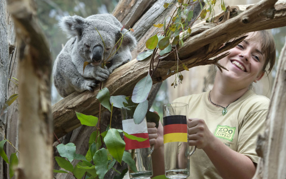 φωτογραφήματα-2138518