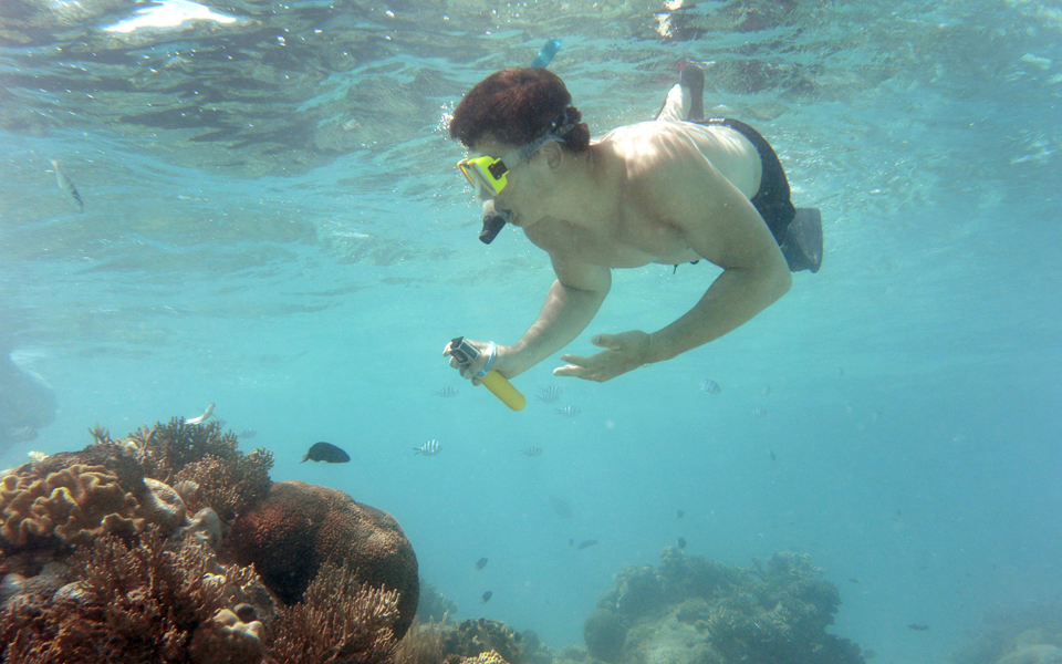 ο-χορός-των-κοραλλιών-ελπίδα-για-τους-κ-2139286