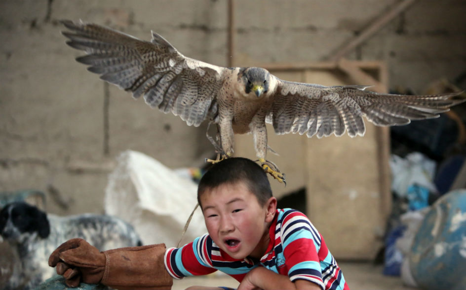 φωτογραφήματα-2139767