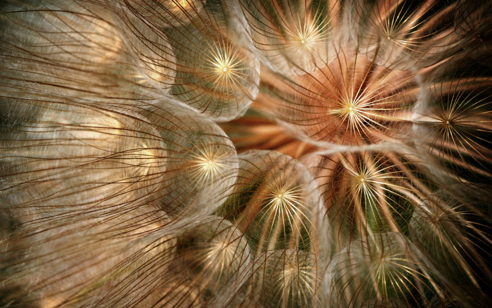 φωτογραφήματα-2138810