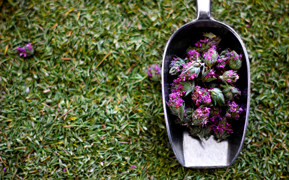 βιολογικά-βότανα-από-συριανά-χωράφια-2140045