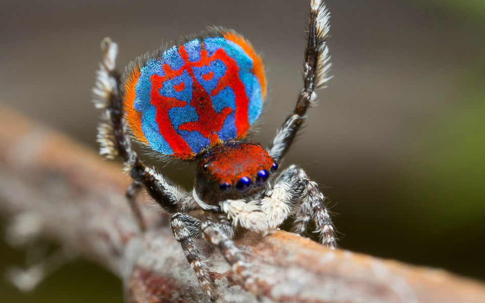 φωτογραφήματα-2137240