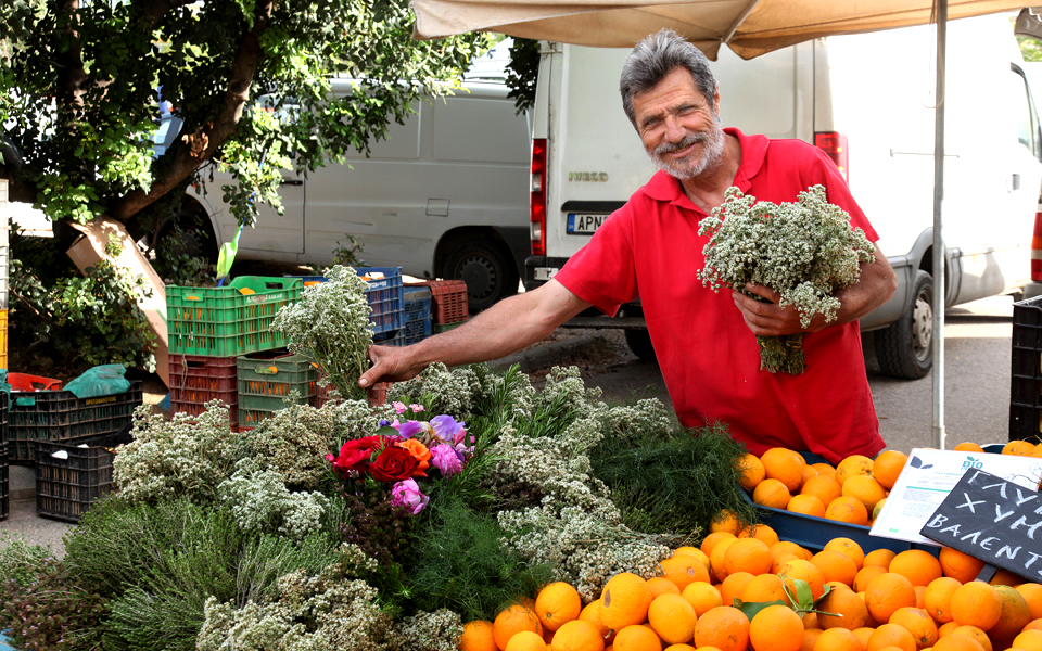 γιώργος-τσιακούλιας-τα-αυτοφυή-βόταν-2139146