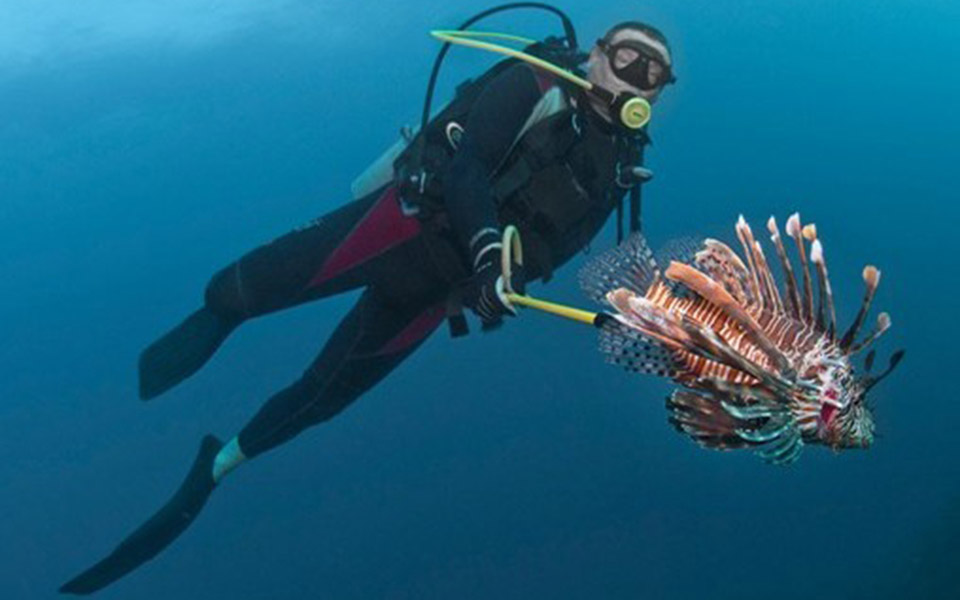 το-επικίνδυνο-λεοντόψαρο-στη-μεσόγει-2138940