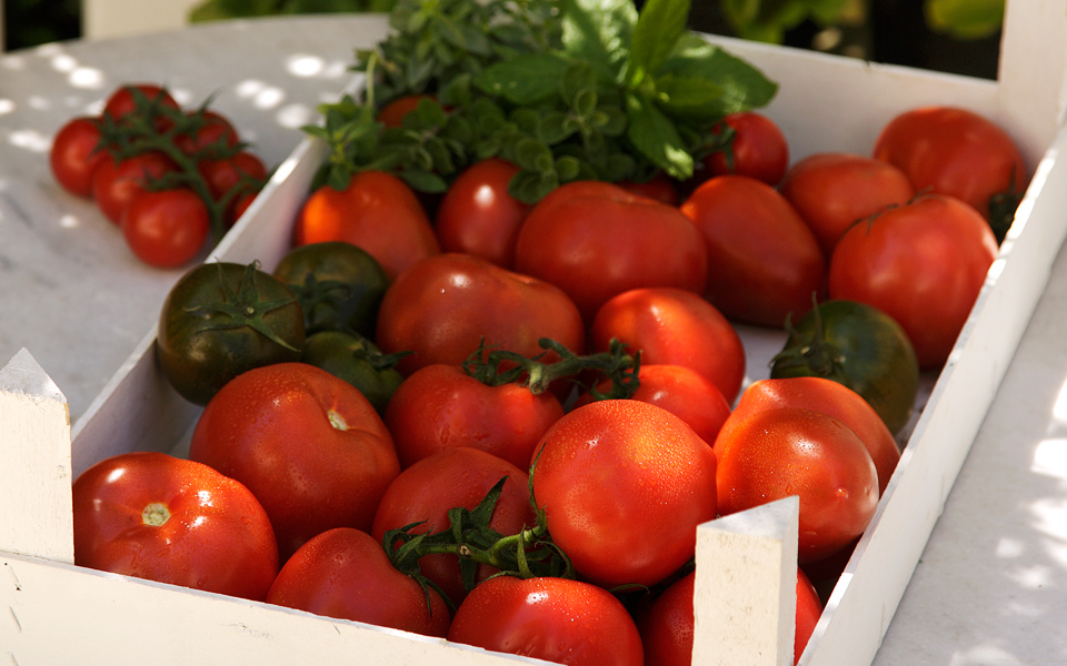 nτομάτα-παντού-2136431