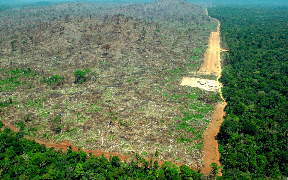 σε-κίνδυνο-η-βιοποικιλότητα-του-αμαζο-2140825