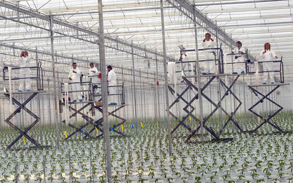 η-γεωθερμία-σύμμαχος-των-καλλιεργητώ-2140999