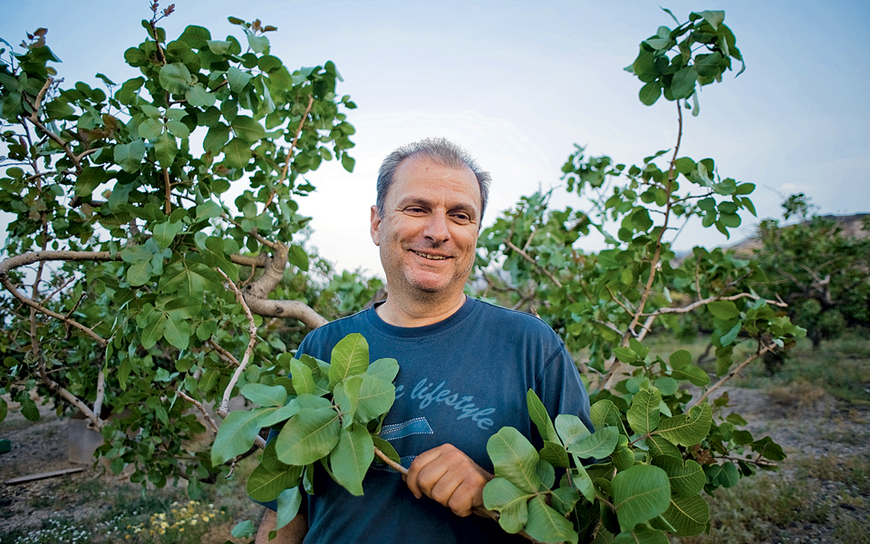 γιάννης-νομικός-από-μικρός-στη-φάβα-2143204