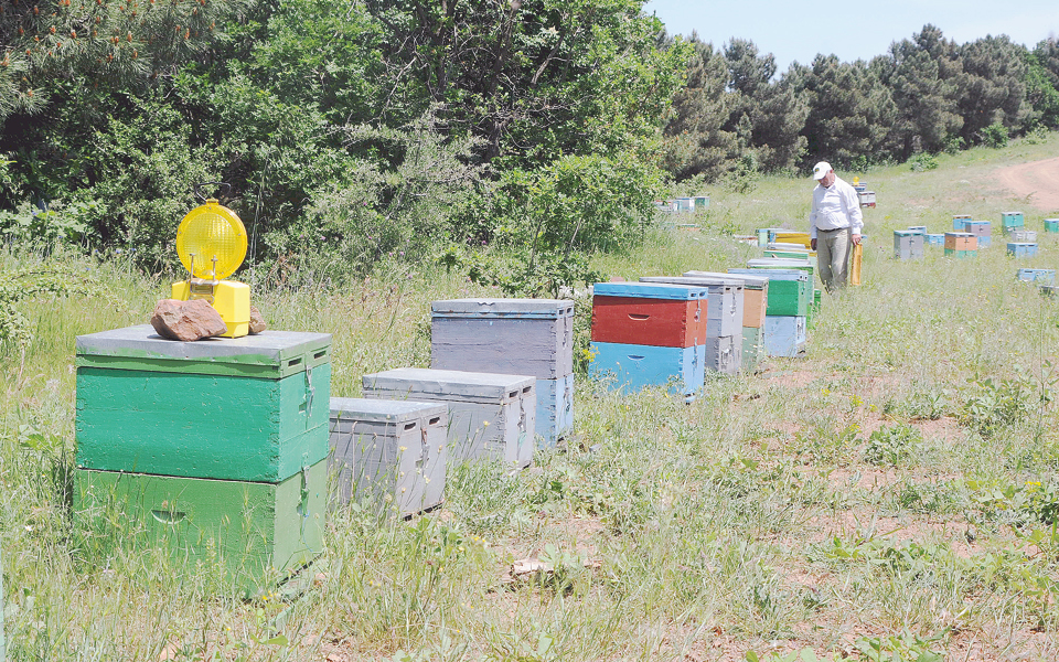 κατάρτιση-και-πιστοποίηση-δεξιοτήτω-2143827