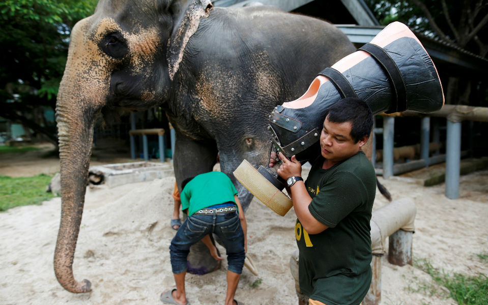 φωτογραφήματα-2140904
