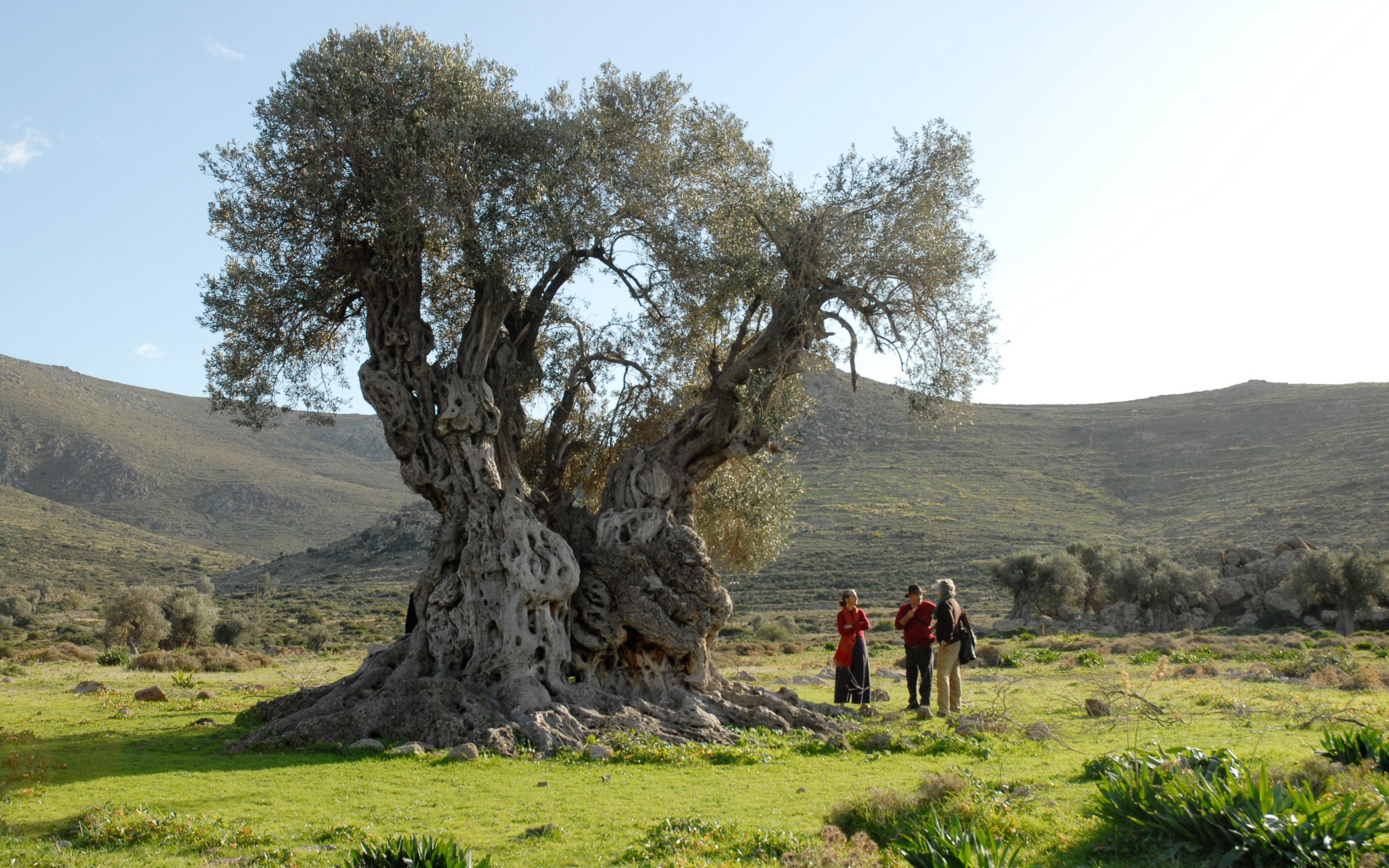 ισπανοί-επιστήμονες-αποκωδικοποίησα-2141169