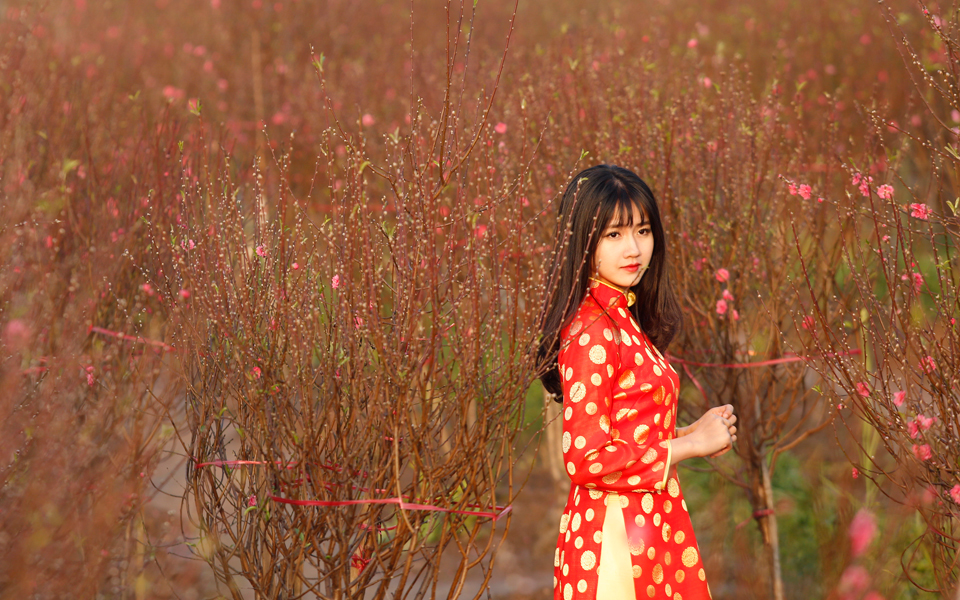 το-νέο-έτος-της-σελήνης-2143841