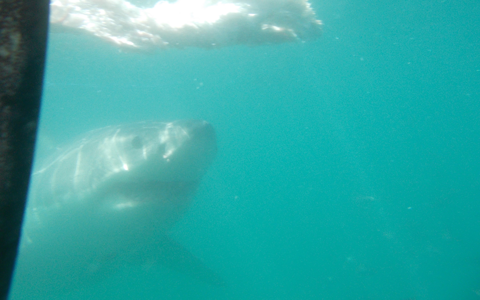 καλοκαιρινή-ιστορία-2144552