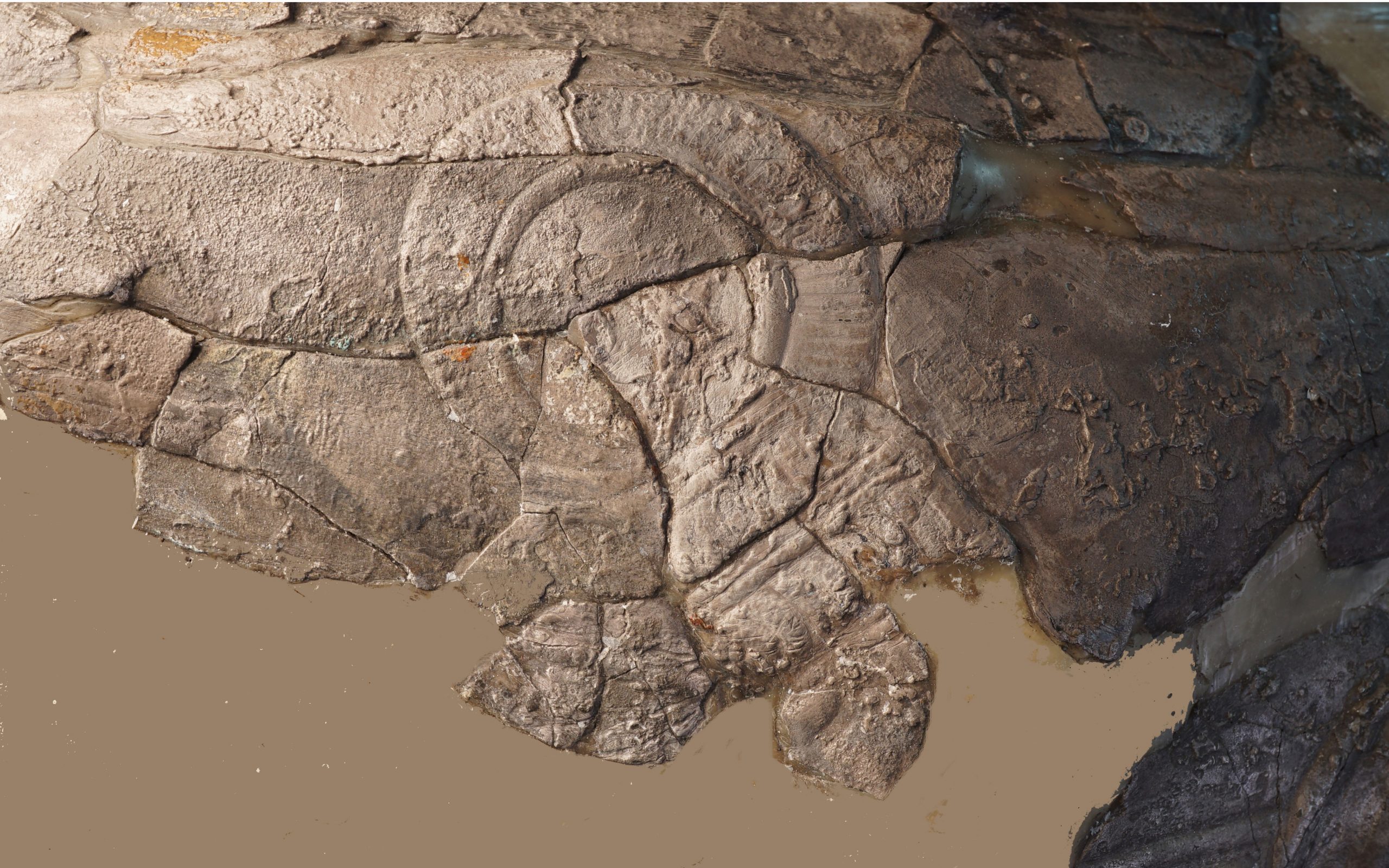 στο-αρχαιολογικό-μουσείο-θα-εκτεθεί-γ-2143691