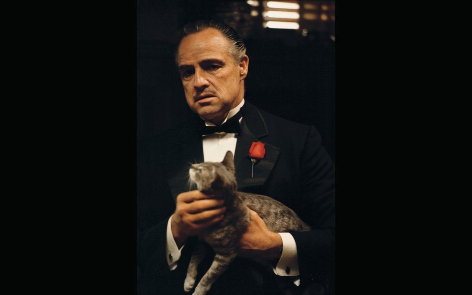 ιταλία-ο-αρχηγός-της-κόζα-νόστρα-είχε-σ-2140883