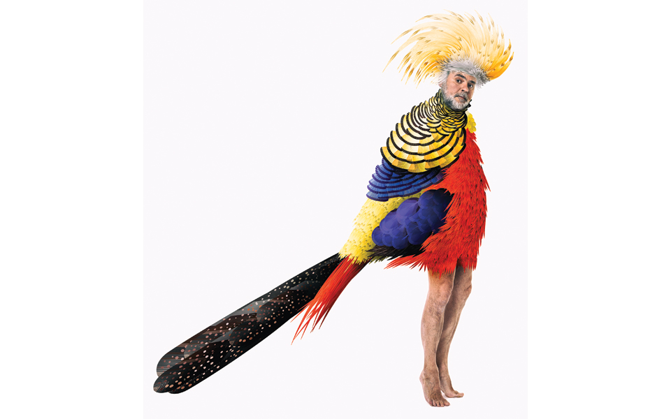 η-στέγη-μάς-καλεί-να-πετάξουμε-2140829