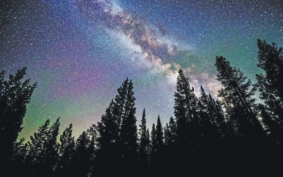 απίστευτα-κι-όμως-αληθινά-2141589