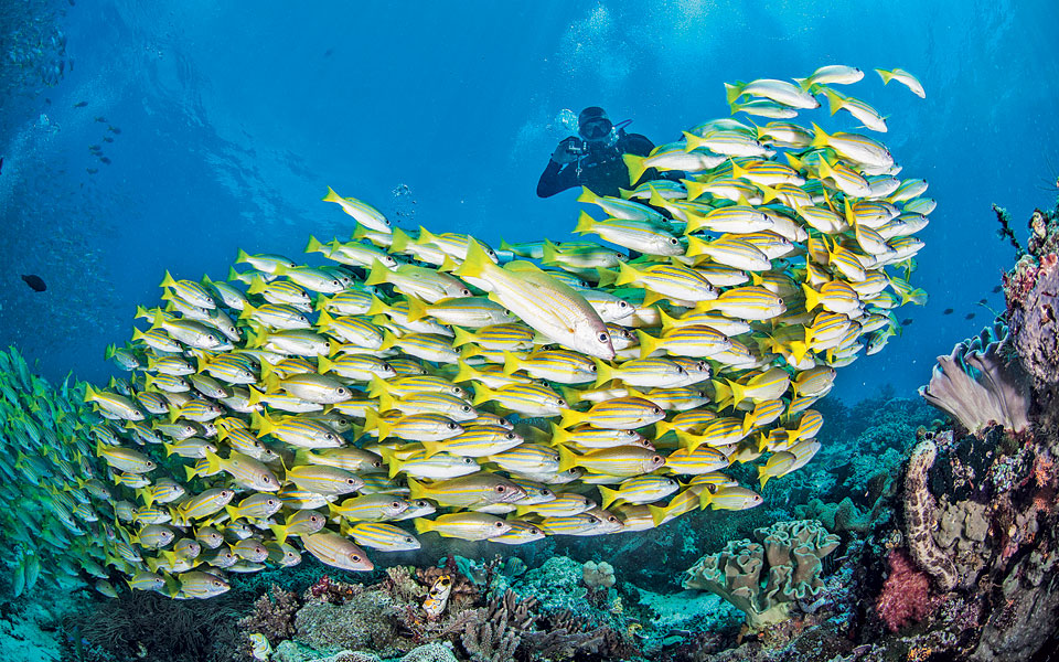 ο-παράδεισος-δεν-μπορεί-να-περιμένει-2143378