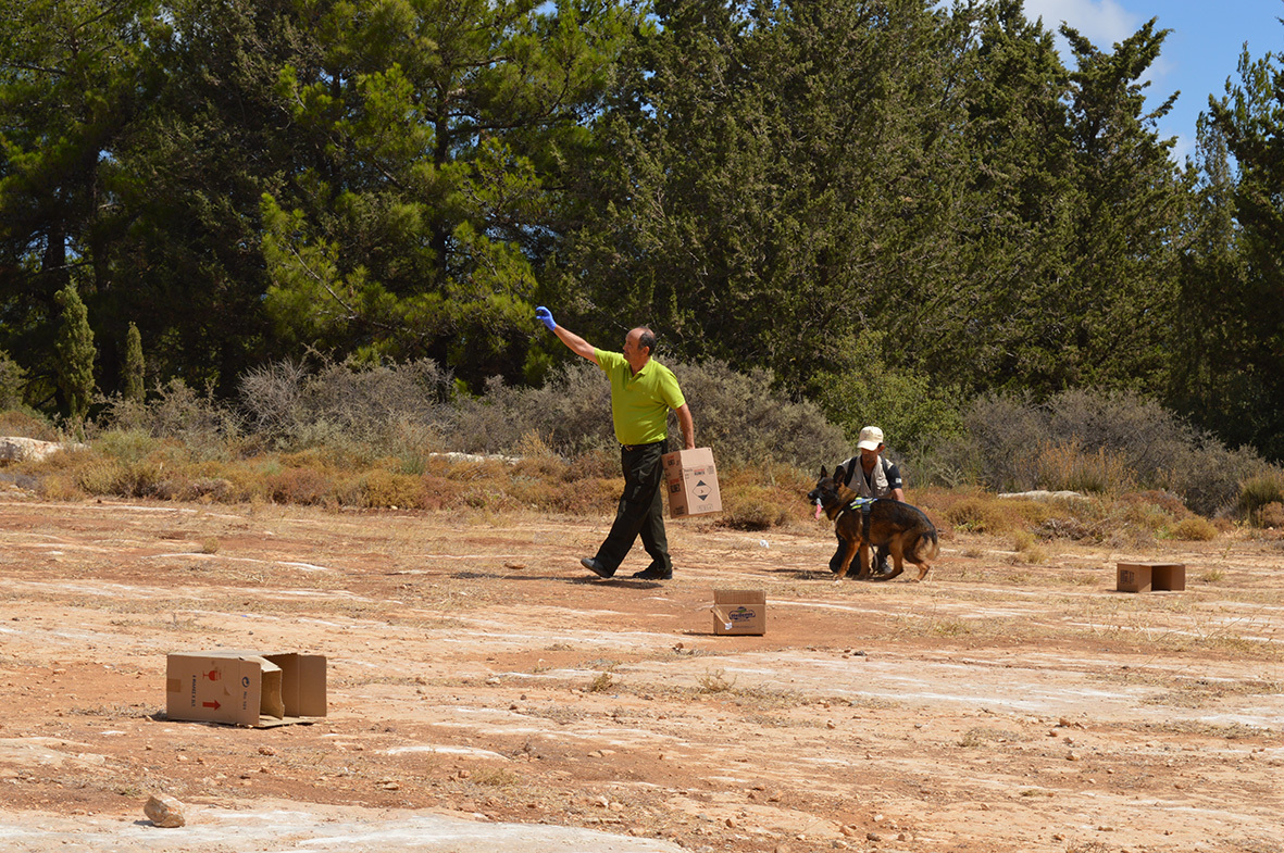 γερμανικοί-ποιμενικοί-χτένισαν-τη-2148419