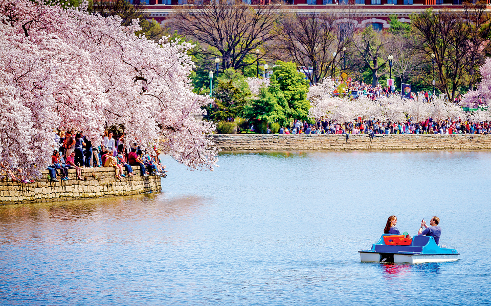 ουάσιγκτον-by-locals-2146427