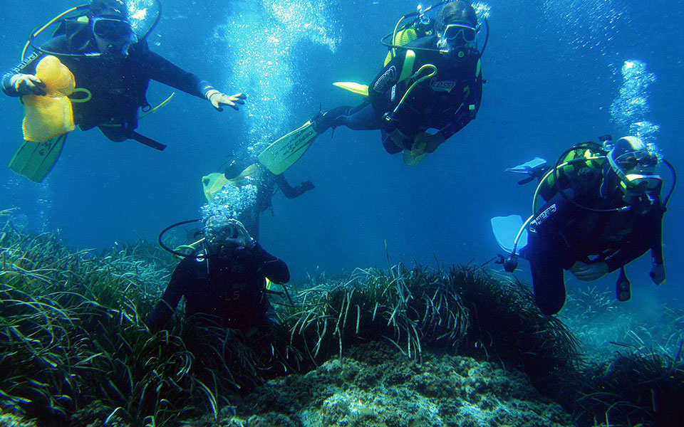 πράσινες-ιδέες-από-9-ελληνικές-ομάδε-2148395