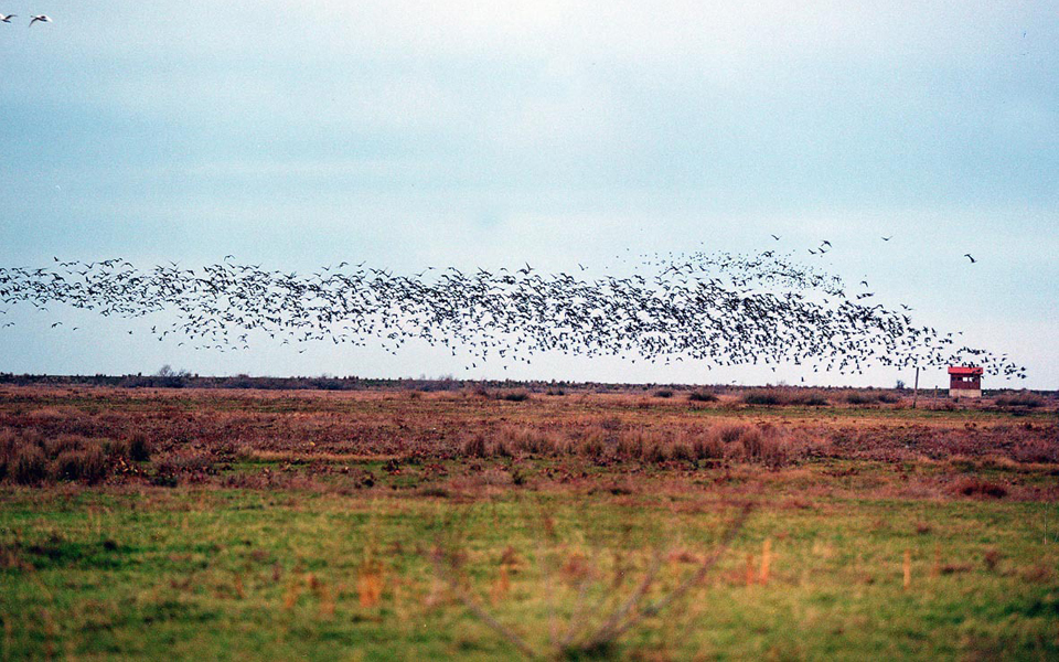 εβρος-και-νέστος-οι-κοινοί-θνητοί-2147173