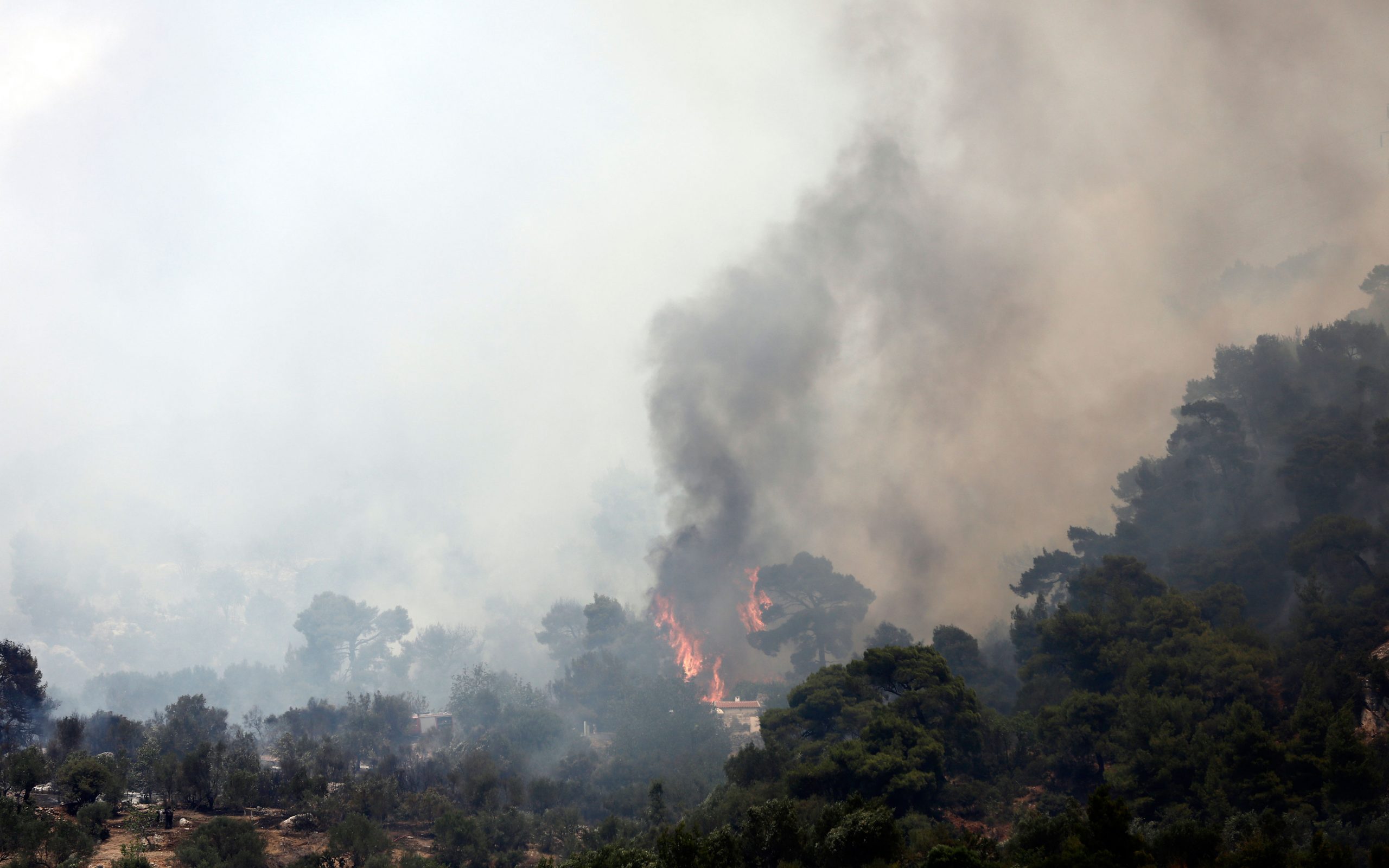 νεκρός-πυροσβέστης-στη-βοιωτία-φωτι-2146678