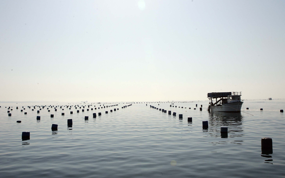 πιλοτικό-πρόγραμμα-στον-αξιό-από-το-υπ-2148081