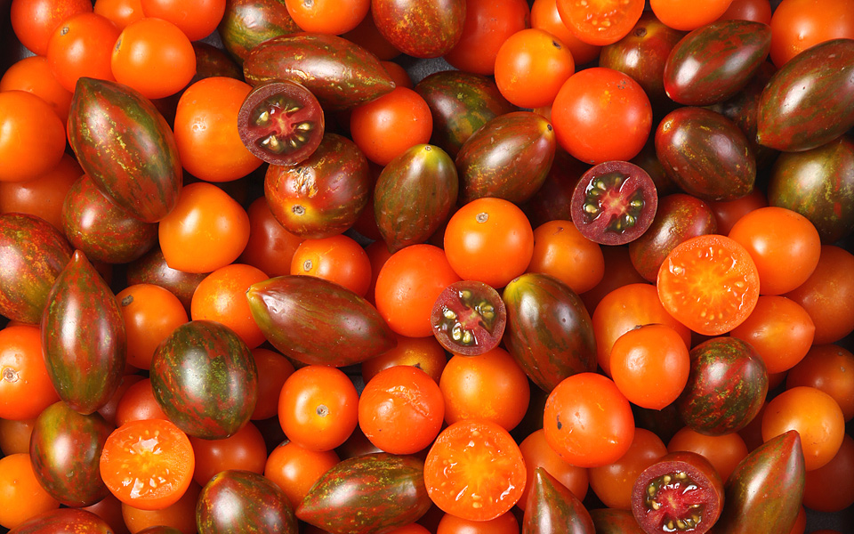 ο-ήλιος-του-καλοκαιριού-και-άλλα-χρω-2147728