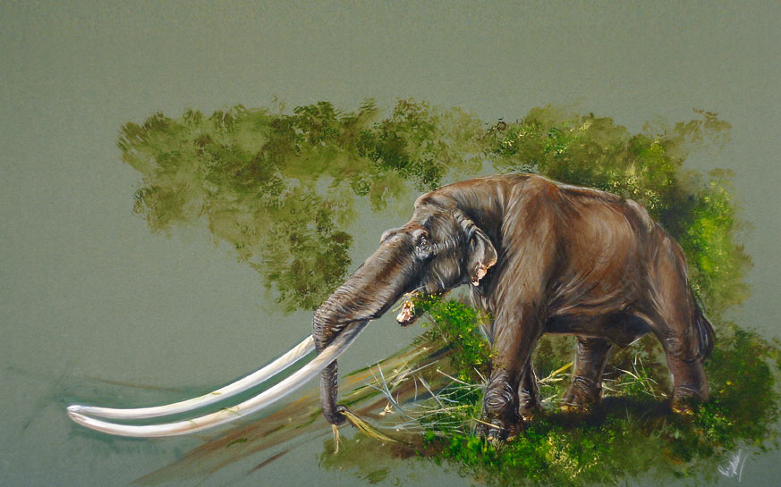 από-δίψα-πέθαναν-τα-τελευταία-μαμούθ-2145409