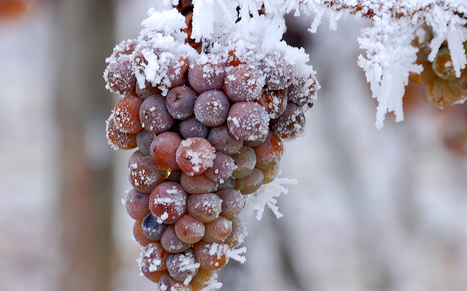 αλλόκοτες-οινικές-περιπλανήσεις-2148052