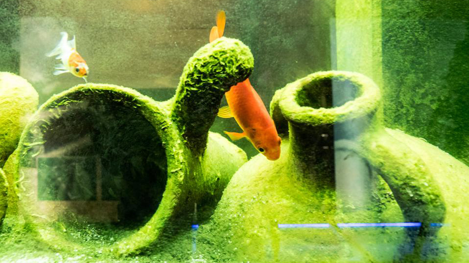 το-κάστρο-των-θησαυρών-2148253