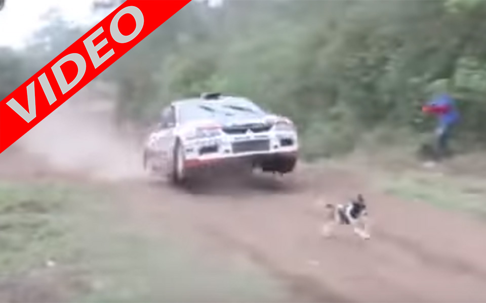 πόσο-τυχερός-είναι-αυτός-ο-σκύλος-2148502