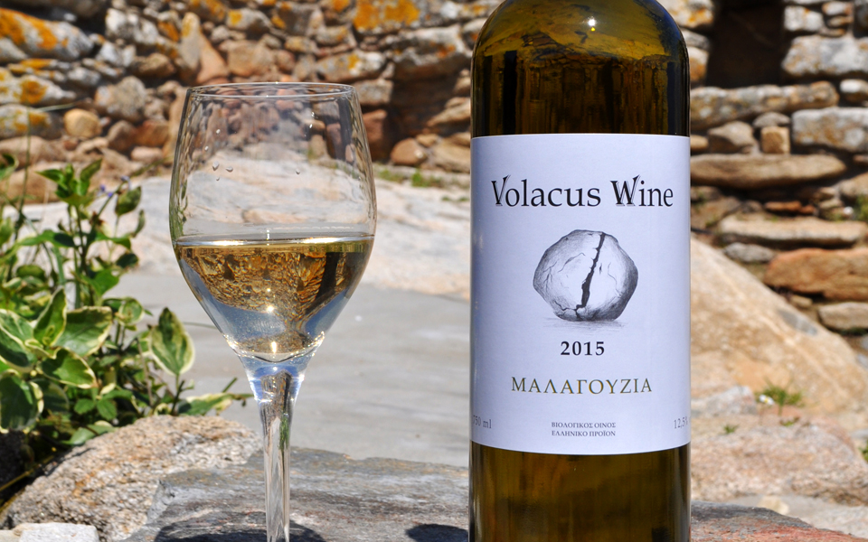 το-νέο-κρασί-της-τήνου-2145378