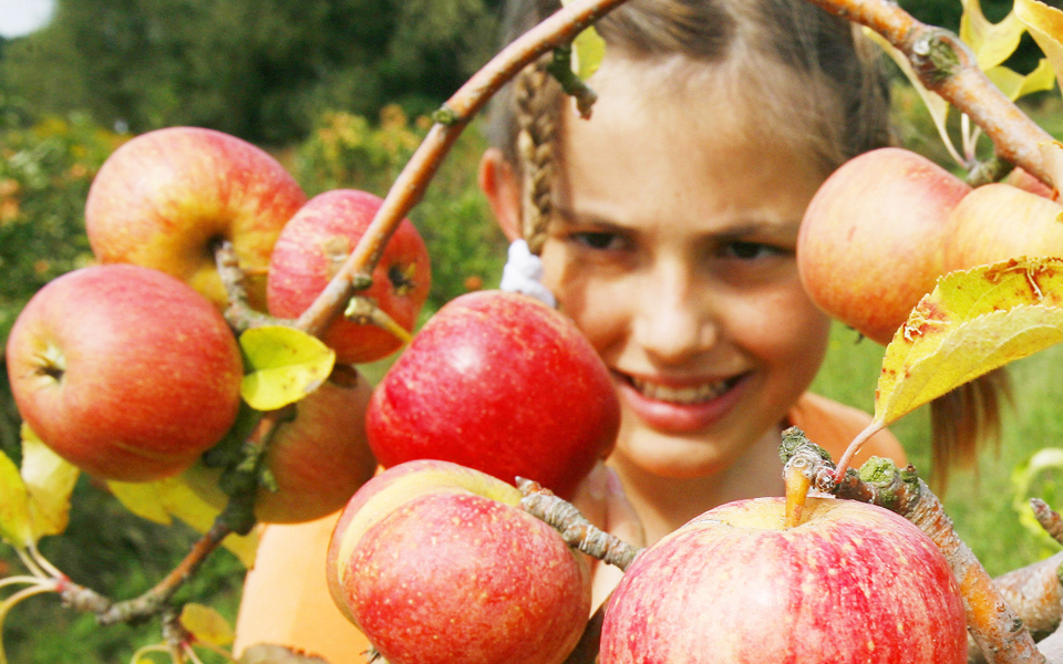 o-ανδρισμός-βλάπτει-τη-φύση-2148914