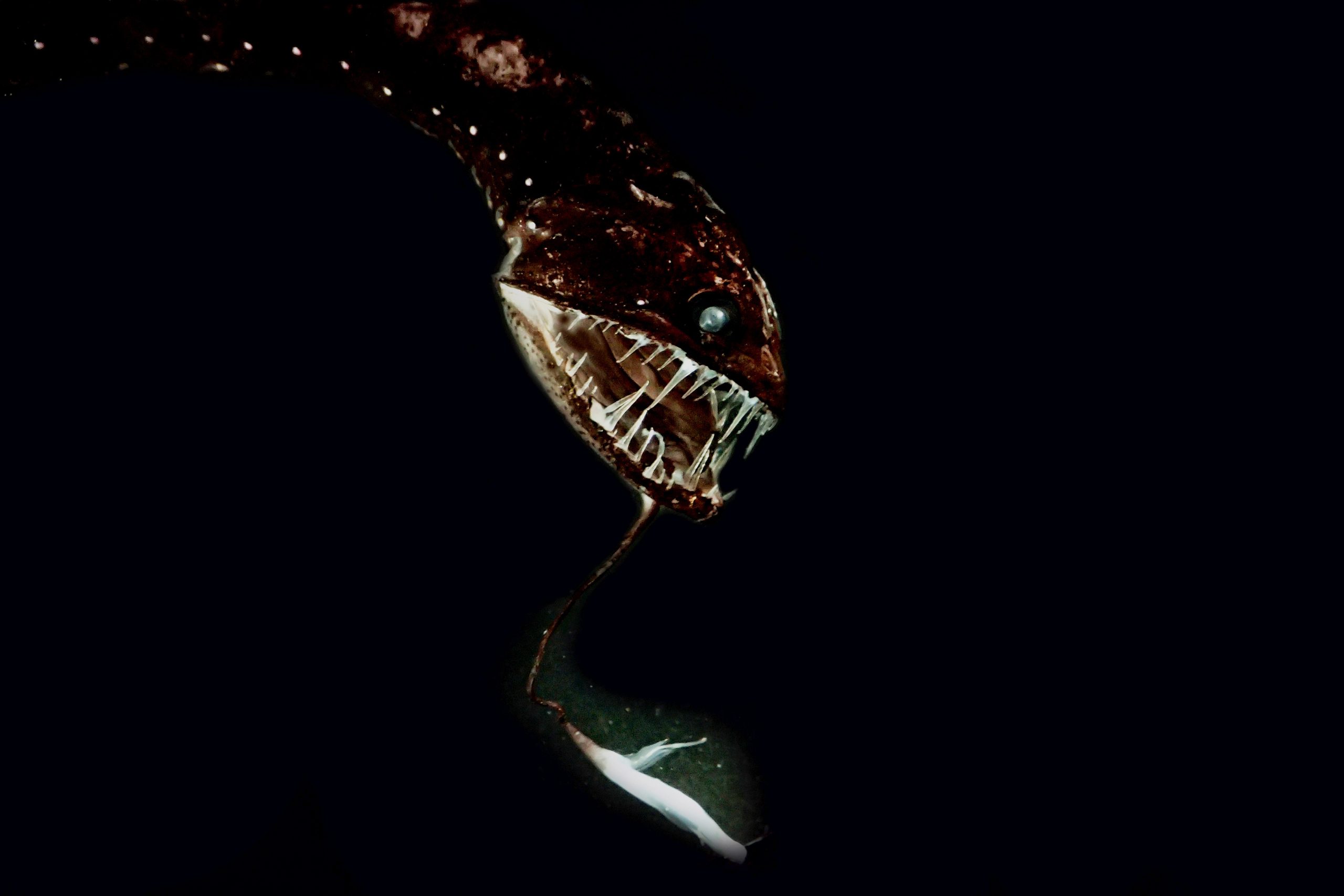 φωτογραφήματα-2153414