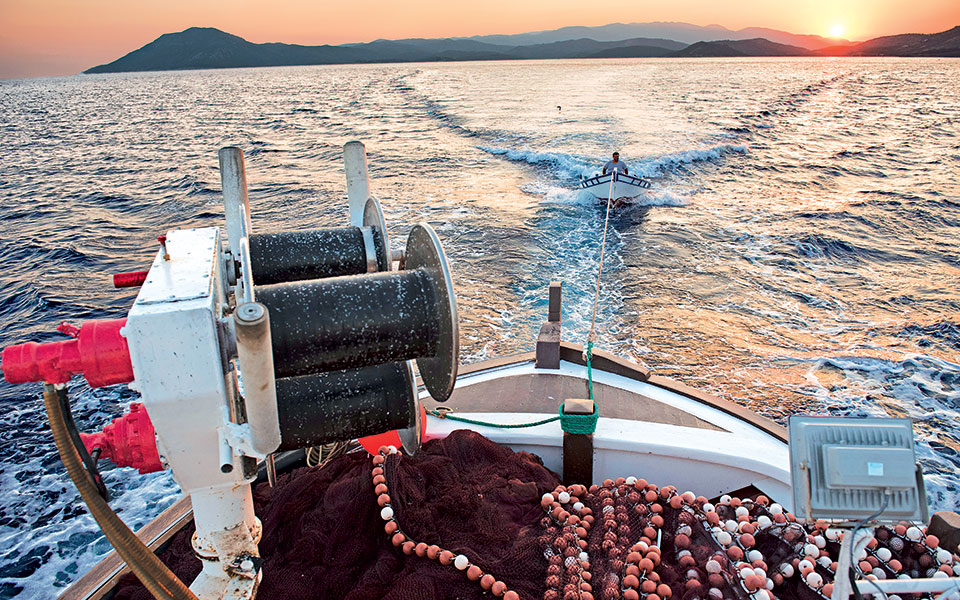 το-ταξίδι-της-σαρδέλας-2149253