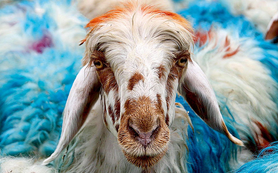 ιερή-αγοραπωλησία-2151661