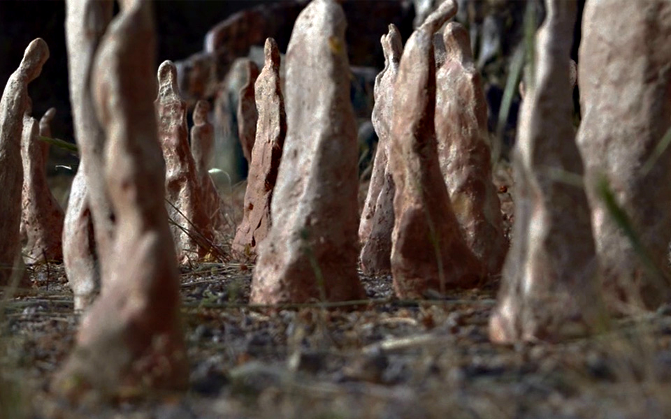 έκθεση-εστίες-φύσης-στο-metamatictaf-2150322