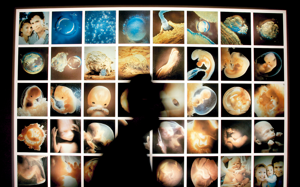 κληρονομική-η-υπογονιμότητα-στους-άν-2154473