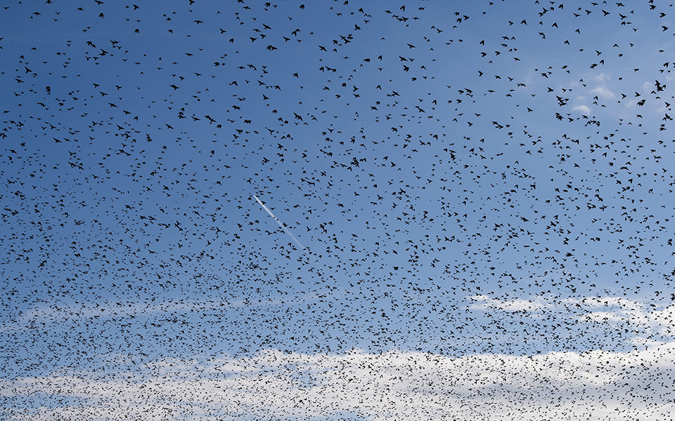 φωτογραφήματα-2156325
