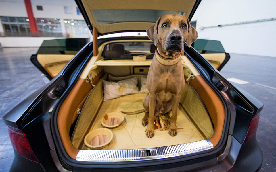 φωτογραφήματα-2157634