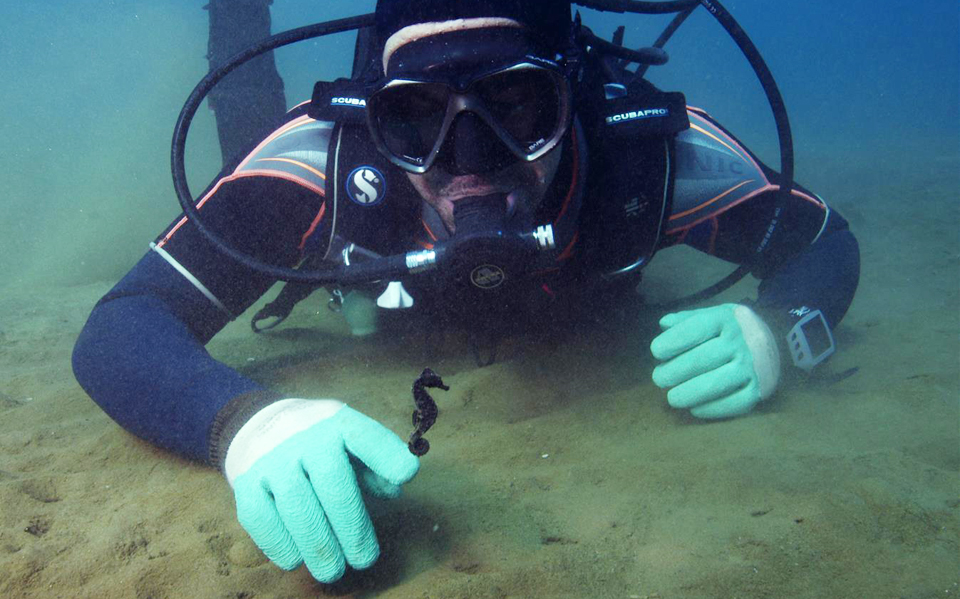 η-εντυπωσιακή-ανάκαμψη-μιας-αποικίας-2155844