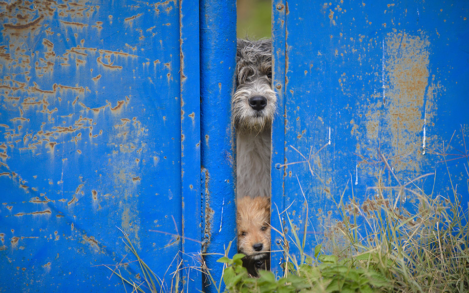 φωτογραφήματα-2156955