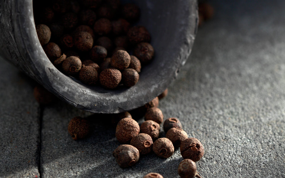 το-μπαχάρι-κο-2155521