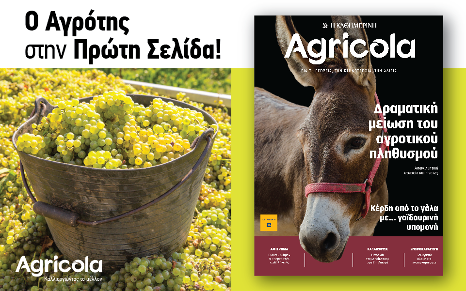 agricola-2156075