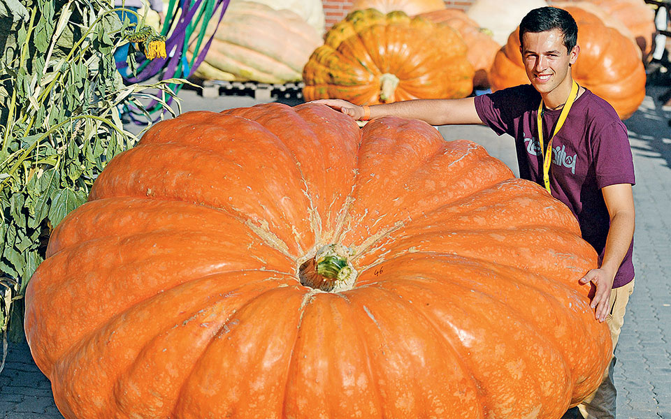 κoλοκύθες-βαρέων-βαρών-2153732