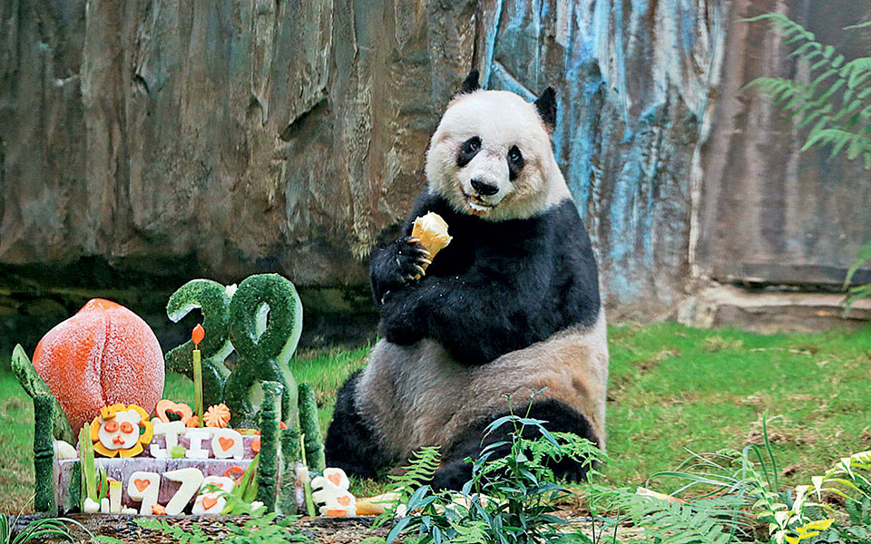 ένας-δύσκολος-αποχαιρετισμός-2156910